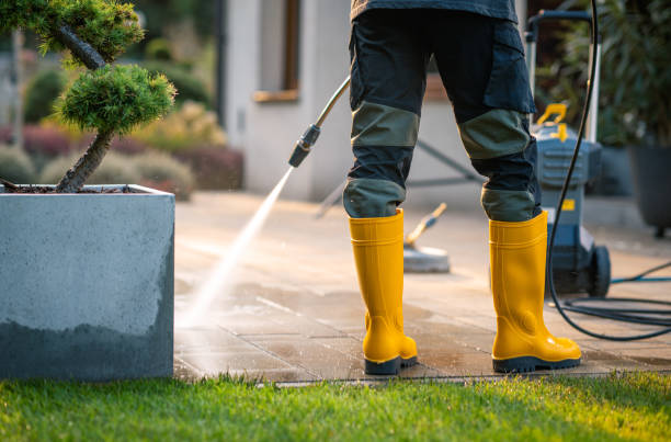 Best Pressure Washing Services Near Me  in Madera, CA